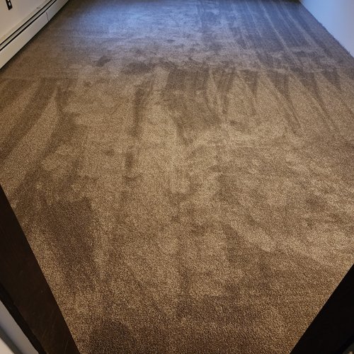 Carpet- Five Star Flooring in Raymond, NH